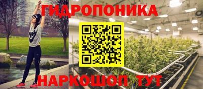 стафф Будённовск